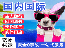 南昌昌北航空货运国际宠物托运 【国